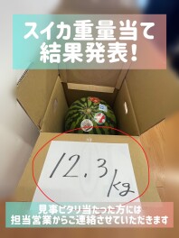 ♡スイカ重量当てクイズ結果発表！！